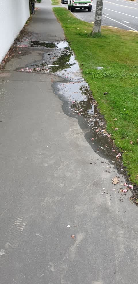 Water Leak, a report photo