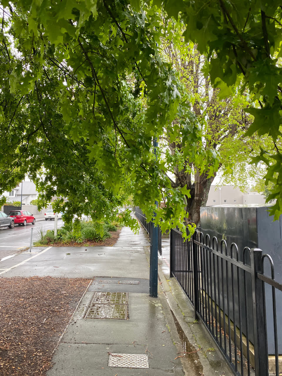 The photograph attached to this overgrown vegetation report