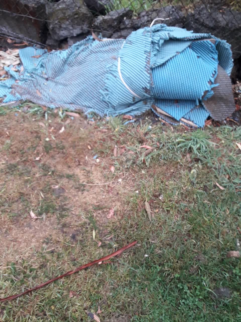 The photograph attached to this parks report
