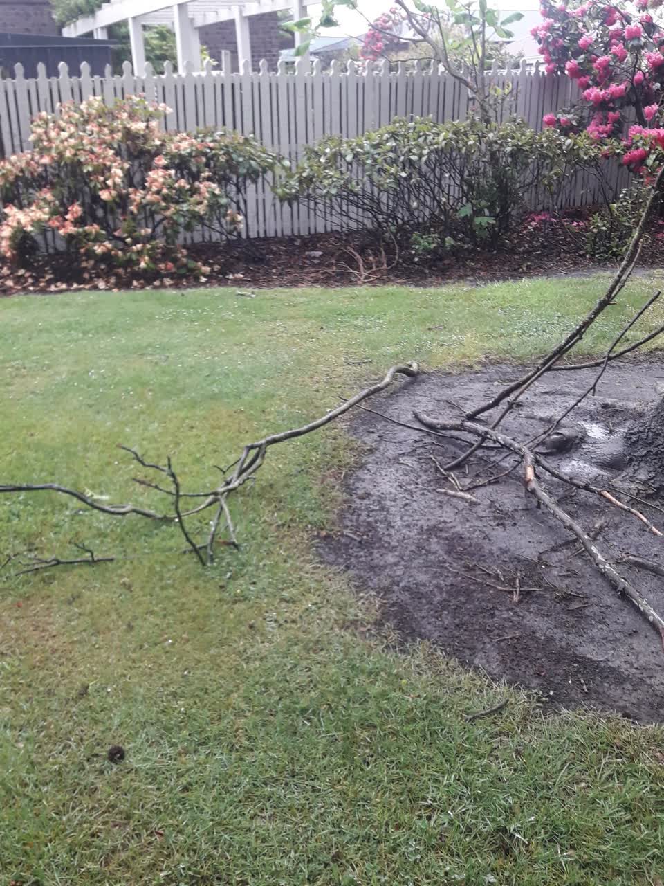 The photograph attached to this parks report