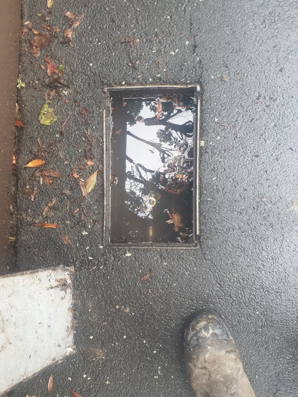 The photograph attached to this water supply report