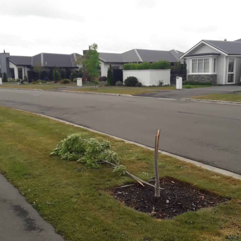 The photograph attached to this parks report