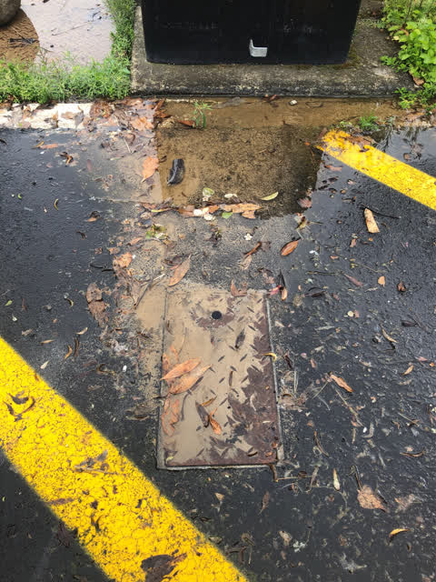 Water Leak, a report photo