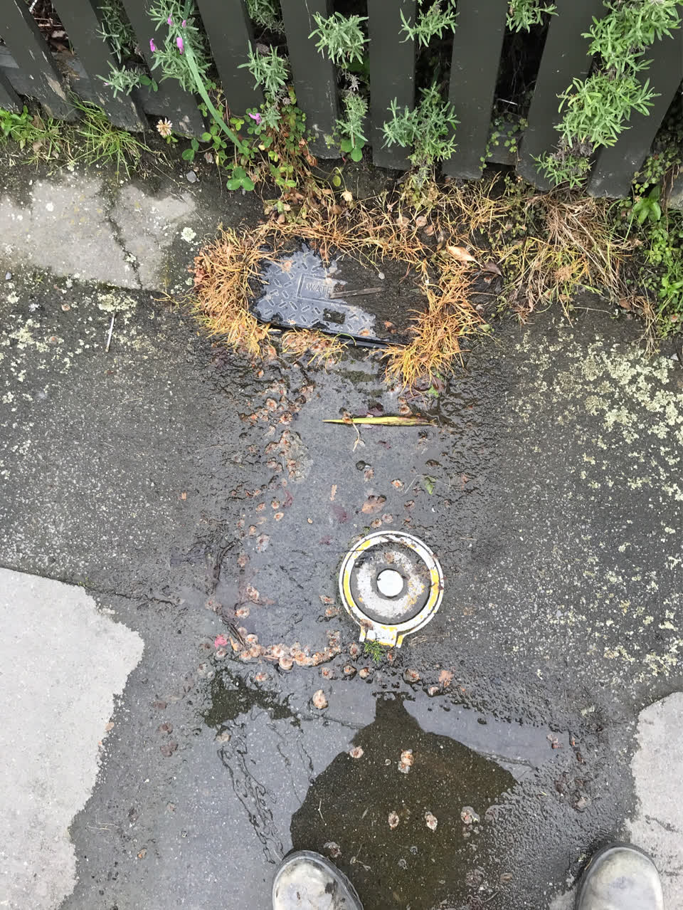 The photograph attached to this water leak report