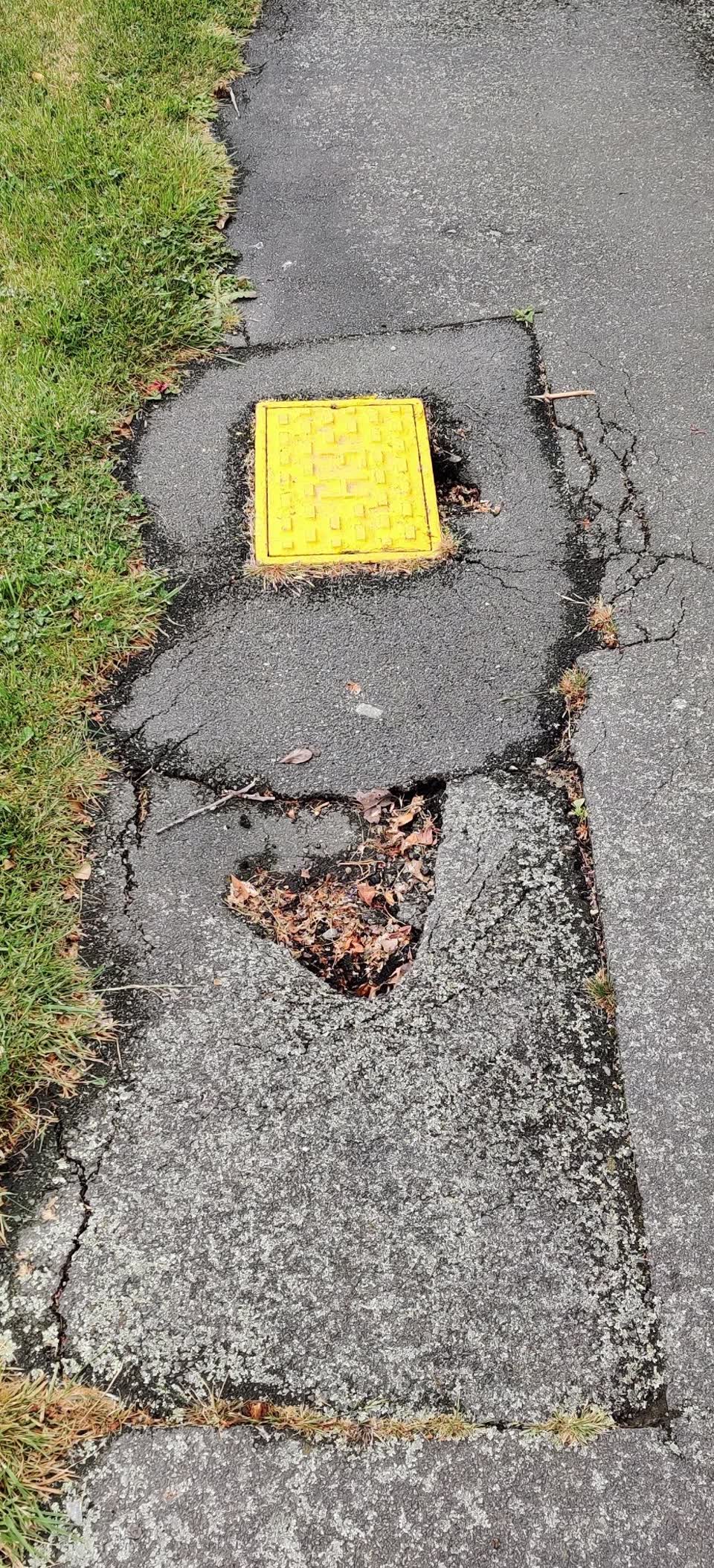 The photograph attached to this pavement - damaged report