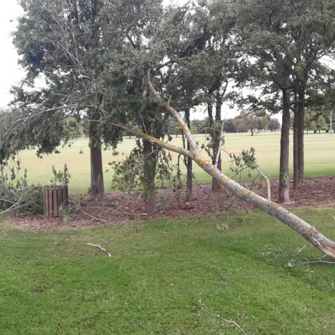 Parks, a report photo
