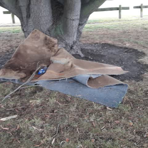 Parks, a report photo