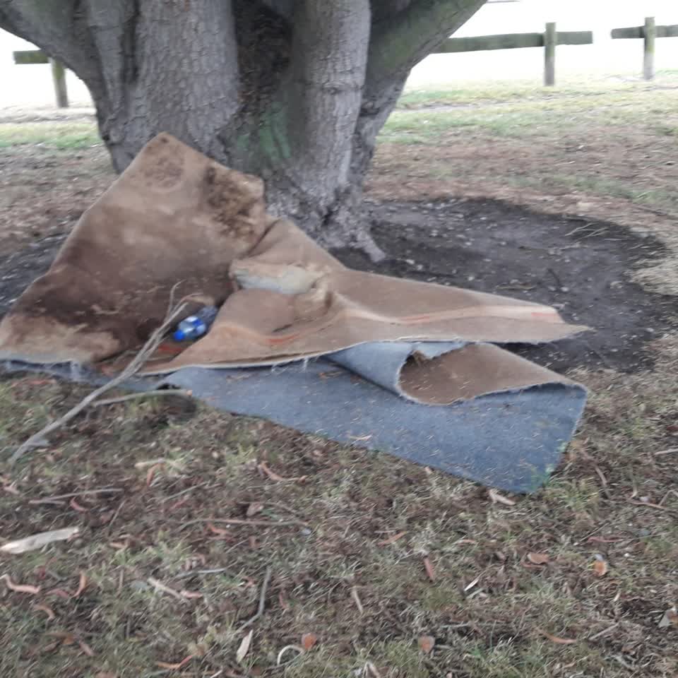 The photograph attached to this parks report
