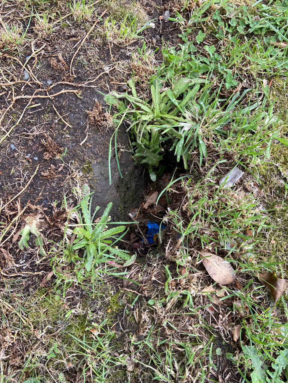The photograph attached to this roads - general report