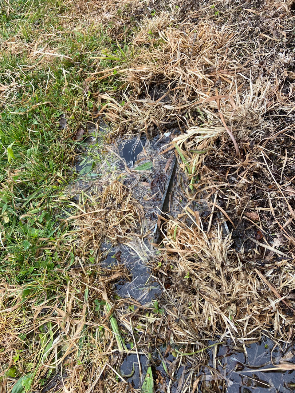 The photograph attached to this water leak report