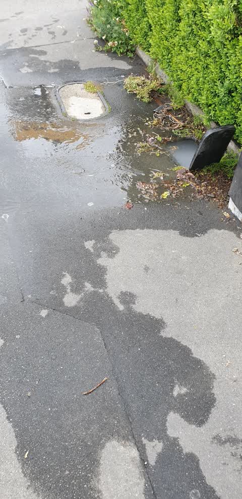 Water Leak, a report photo