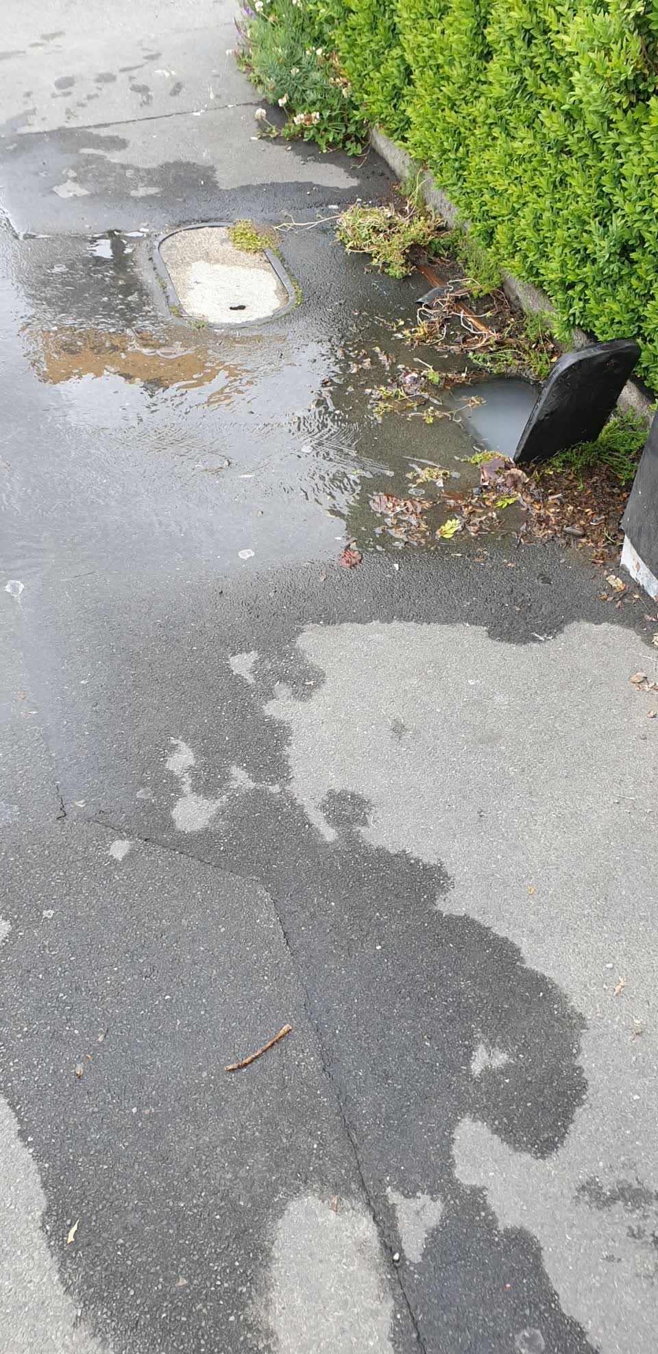 The photograph attached to this water leak report