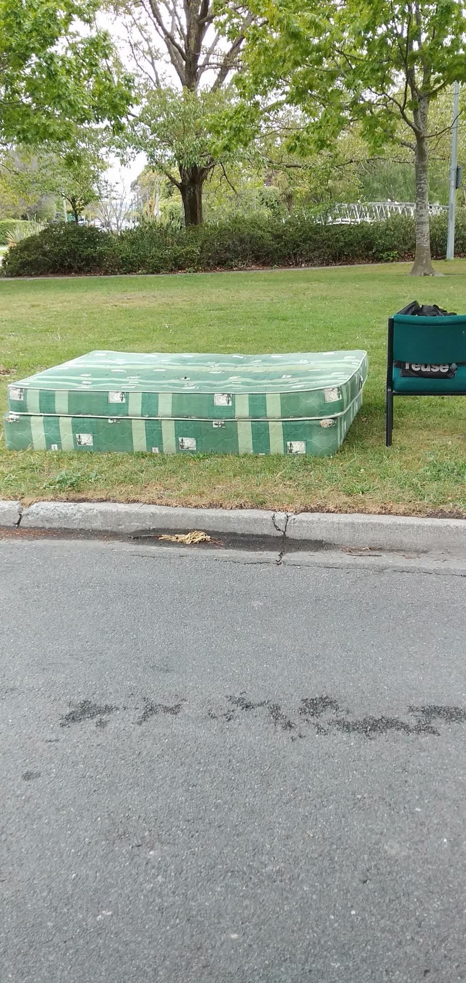The photograph attached to this rubbish and bins - general report