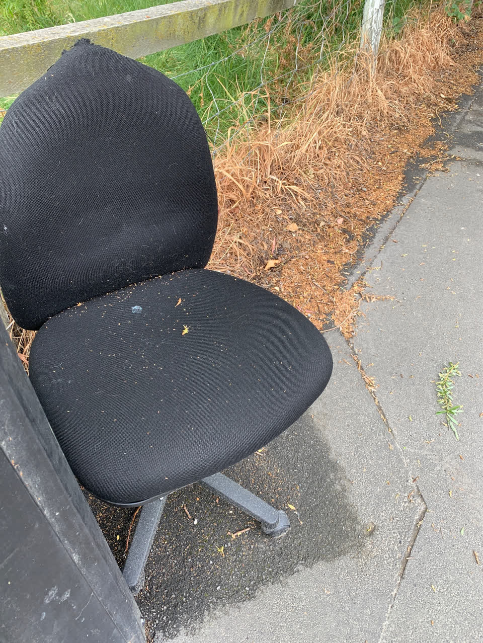 The photograph attached to this dumped rubbish report