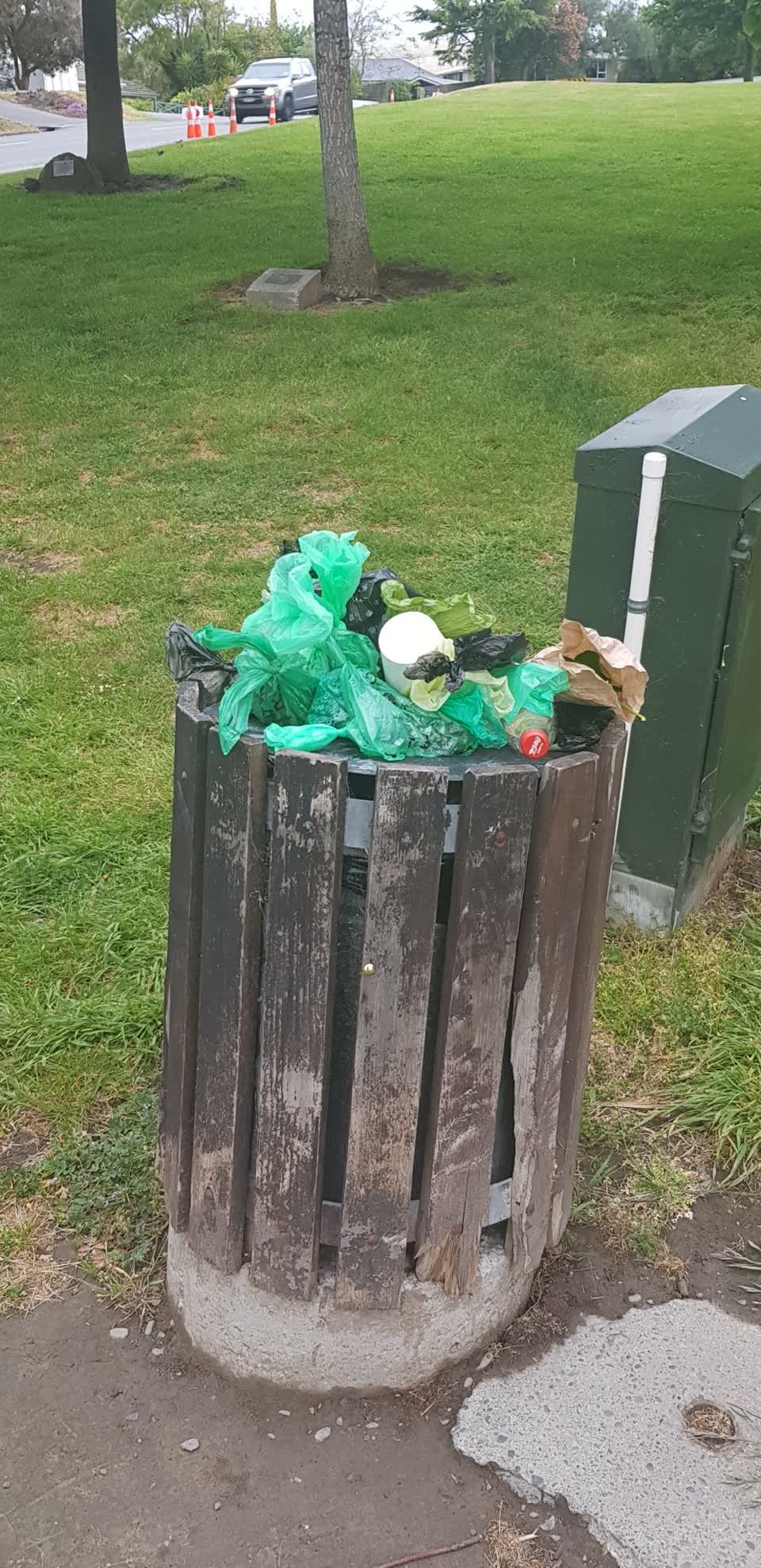 The photograph attached to this rubbish and bins - general report