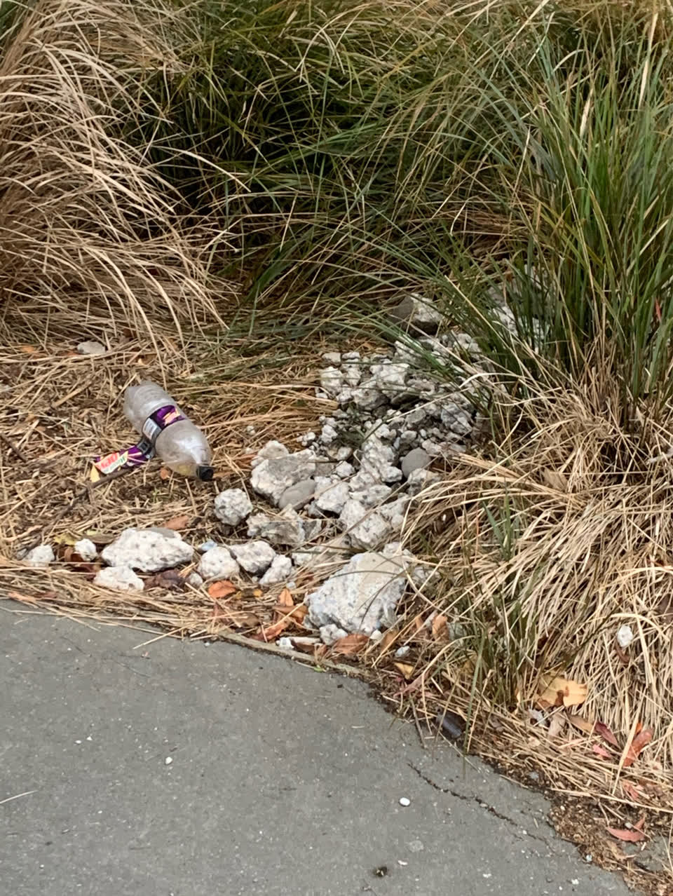 The photograph attached to this dumped rubbish report