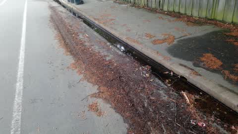 Water Leak, a report photo