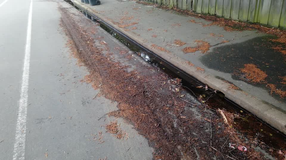 The photograph attached to this water leak report