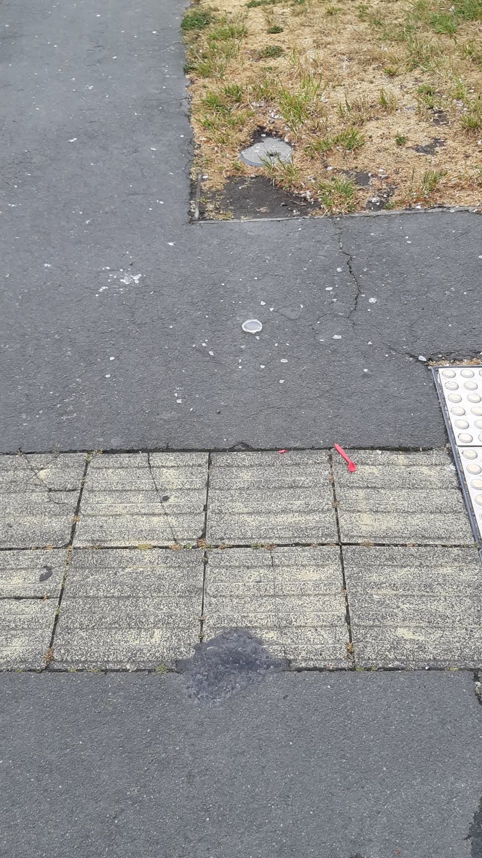 The photograph attached to this pollution - general report