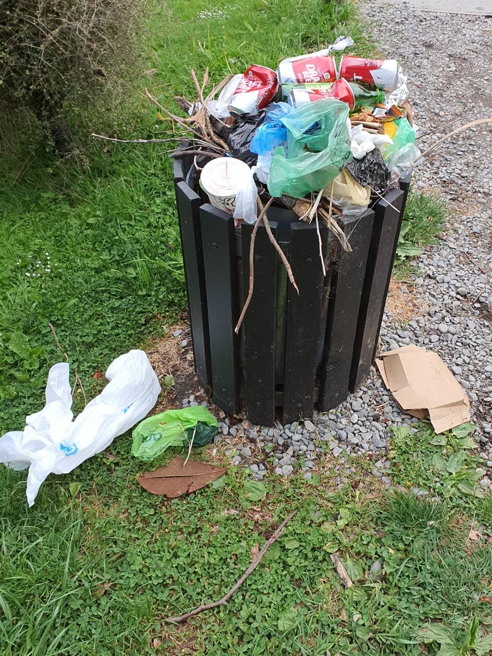 The photograph attached to this rubbish and bins - general report