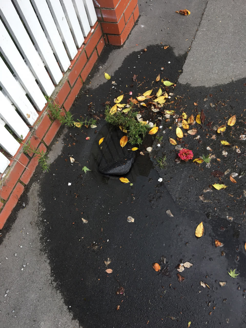 The photograph attached to this water leak report