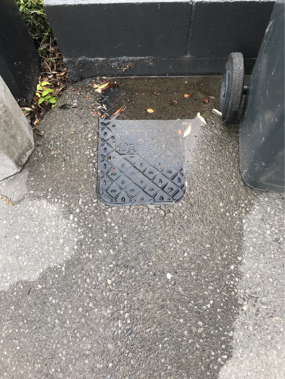 The photograph attached to this sewer - leak / blockage report