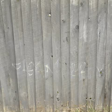 Graffiti — a report photo