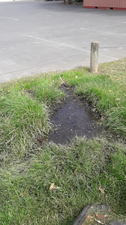 Water Leak — a report photo
