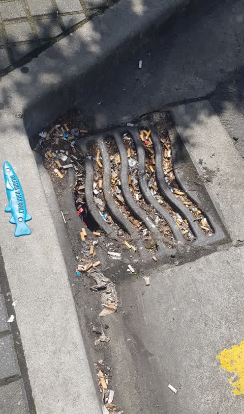 Litter, a report photo