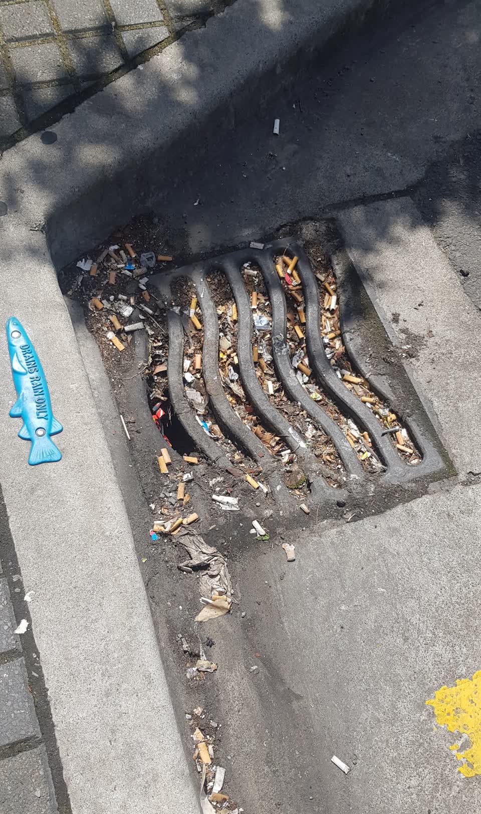 The photograph attached to this litter report