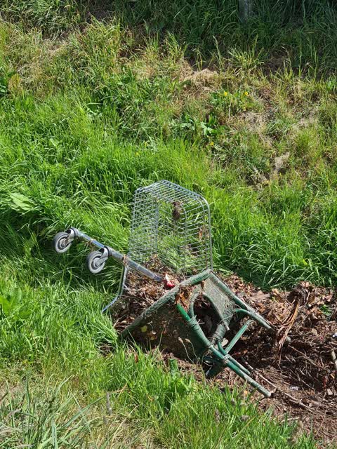 General - Abandoned Trolley, a report photo