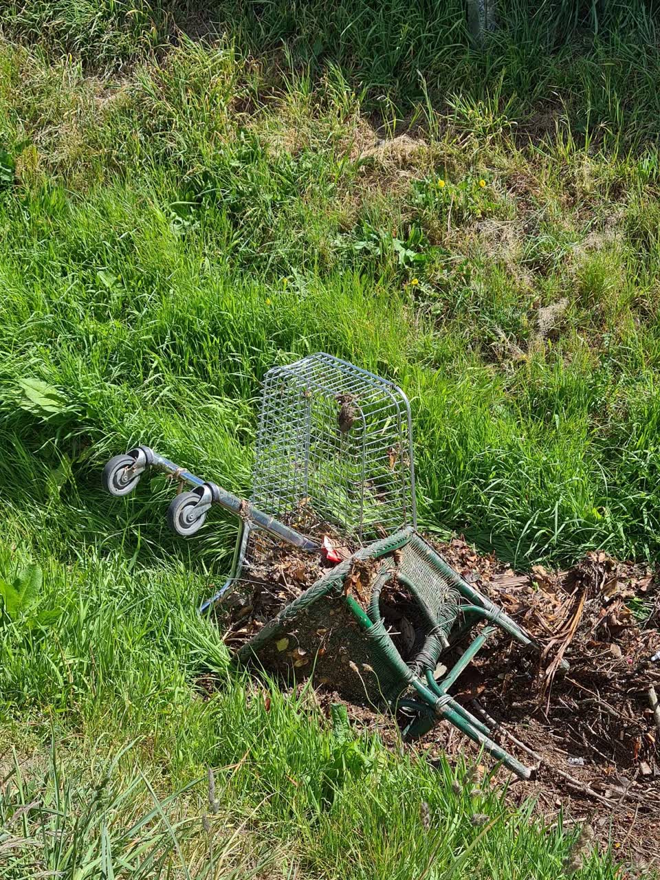 The photograph attached to this general - abandoned trolley report