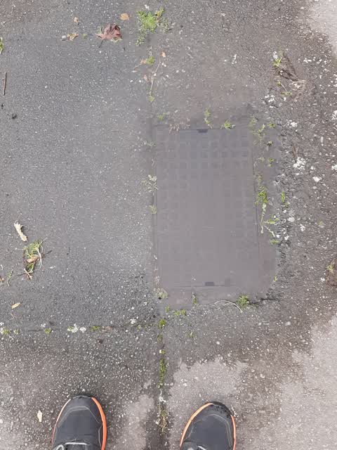 Water Leak, a report photo