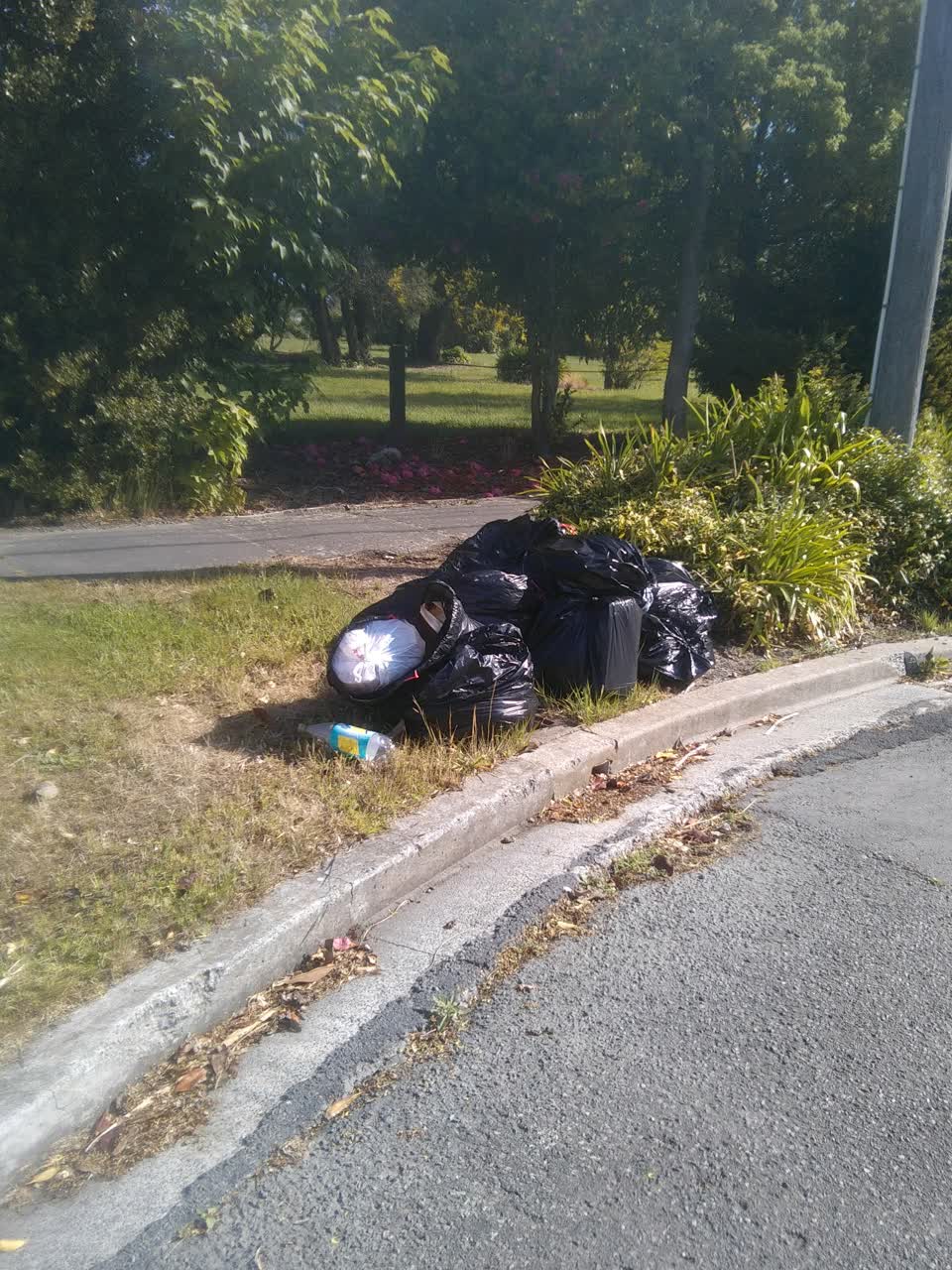 The photograph attached to this rubbish/recycling report