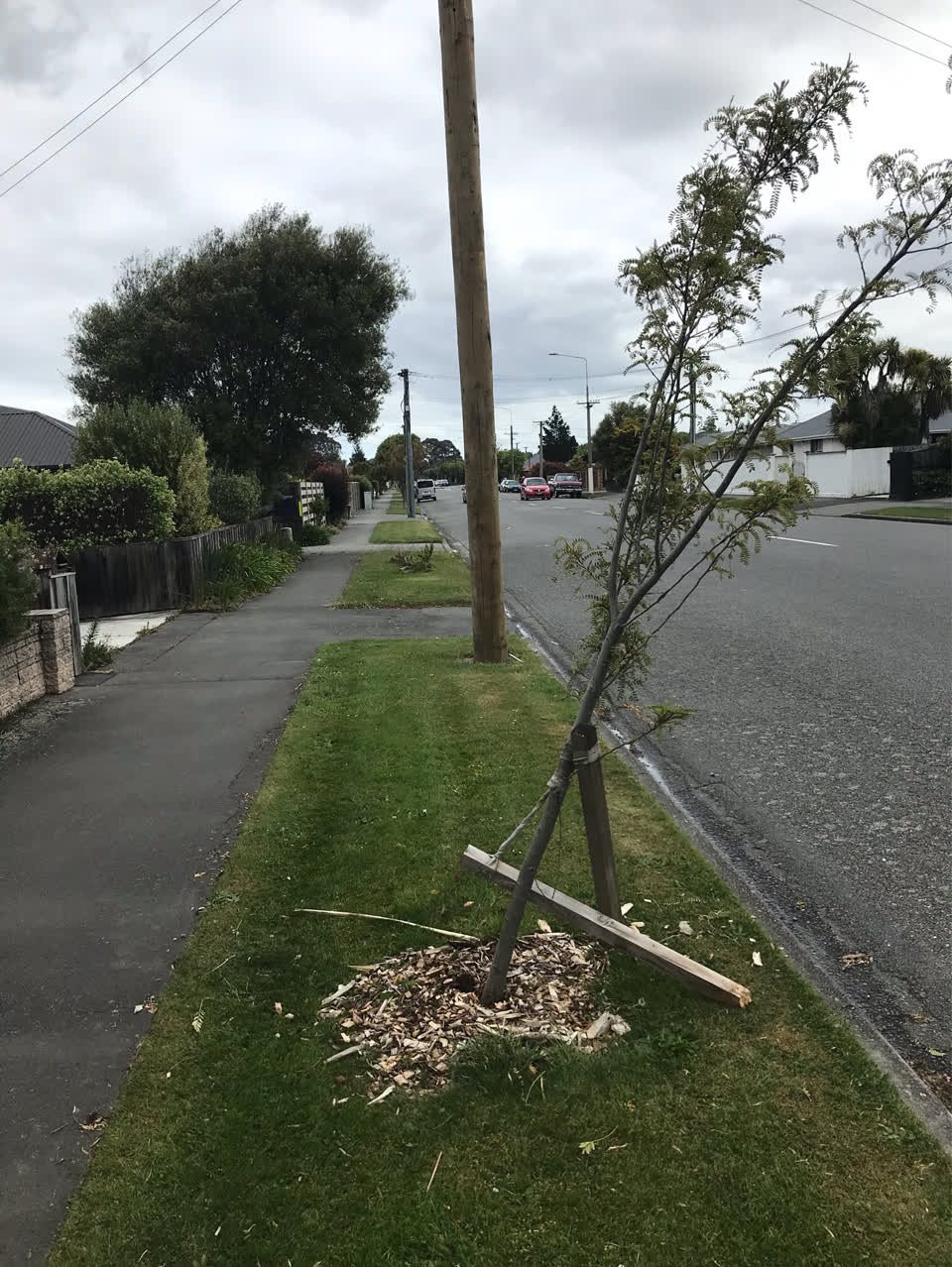 The photograph attached to this roading/streets report