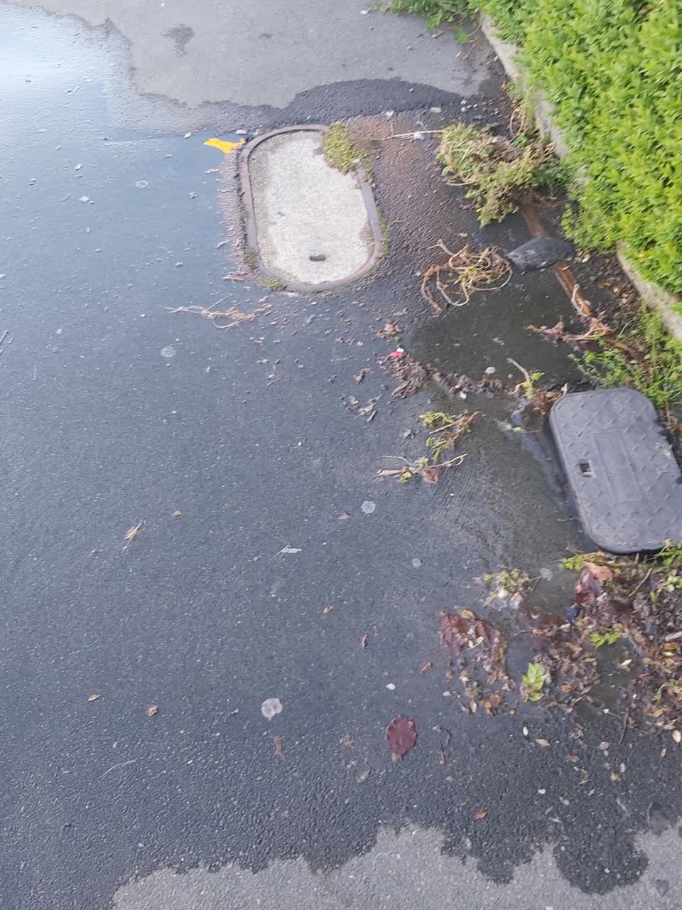 The photograph attached to this water leak report