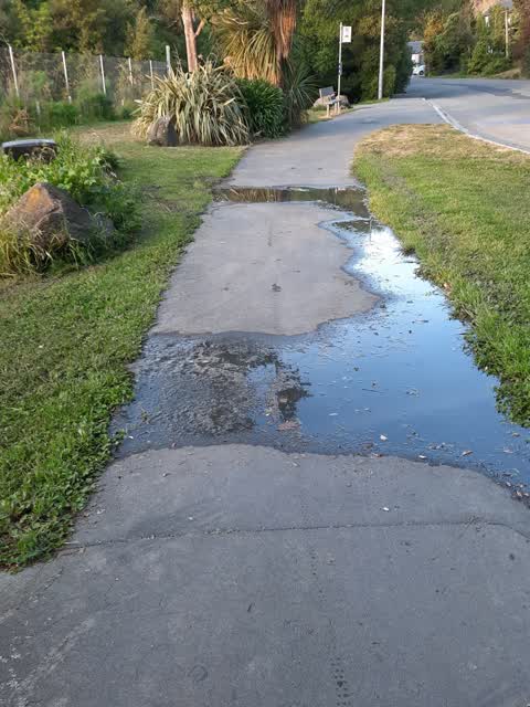 Water Leak, a report photo
