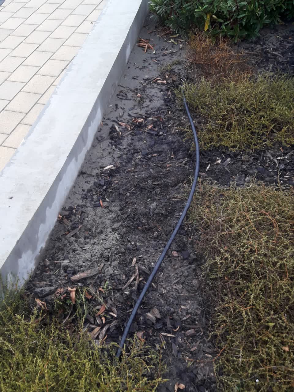 The photograph attached to this parks report