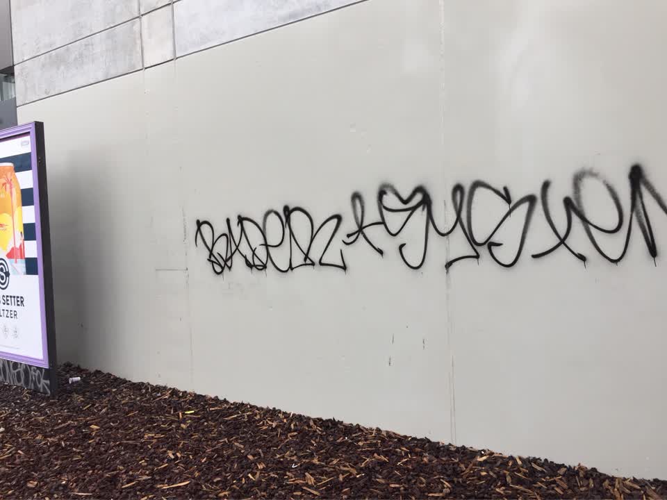 The photograph attached to this graffiti report