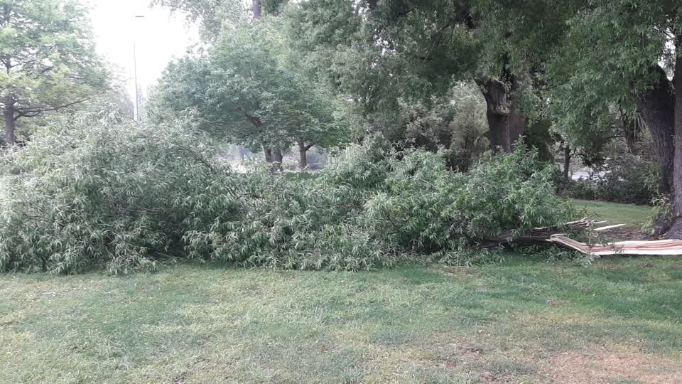 The photograph attached to this parks report