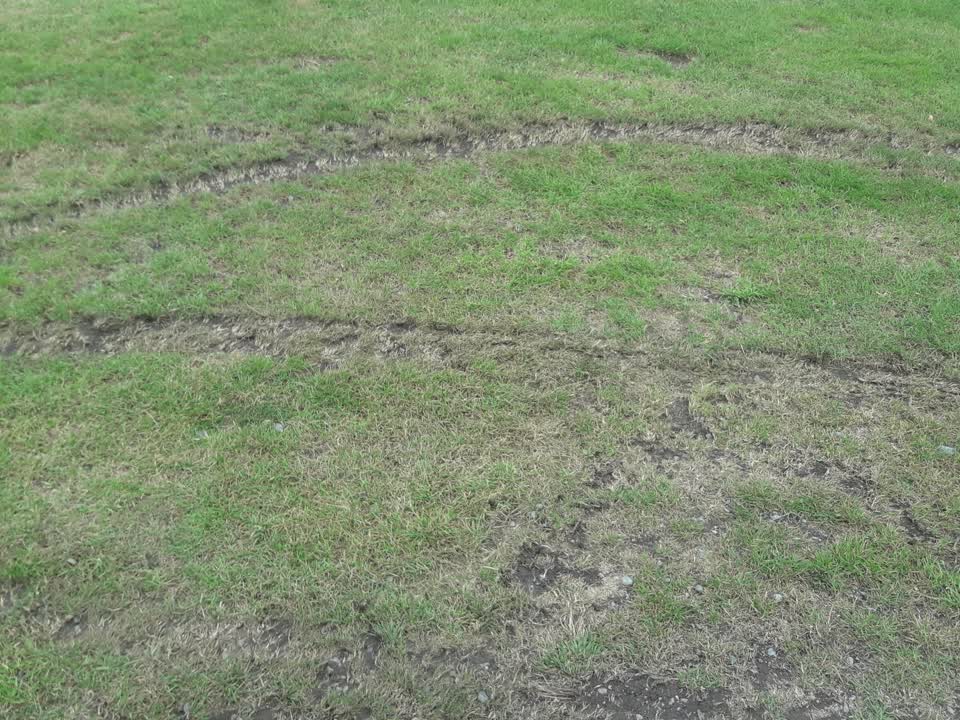 The photograph attached to this parks report