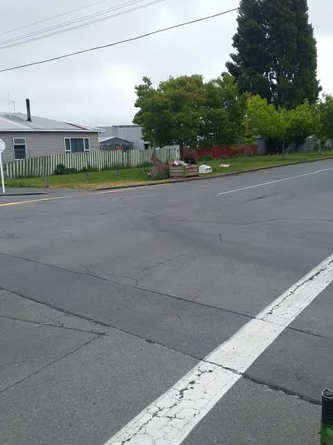 Rubbish/Recycling, a report photo