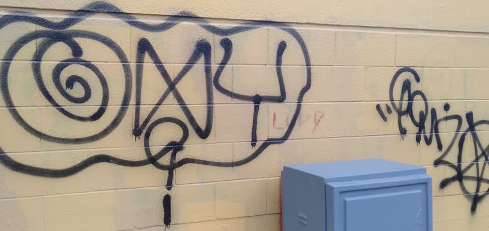 The photograph attached to this graffiti report