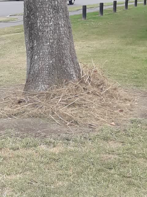 Parks, a report photo