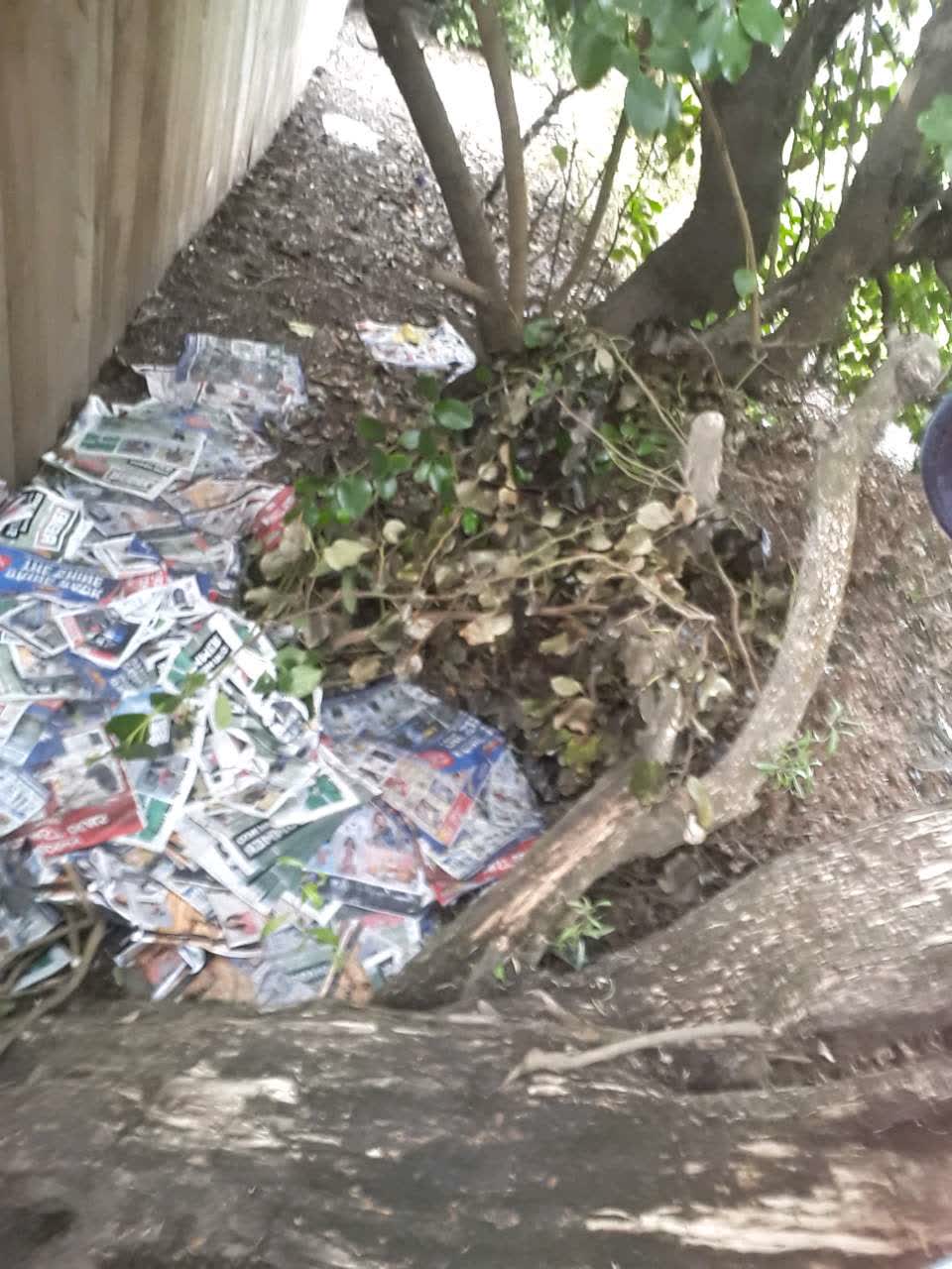The photograph attached to this parks report