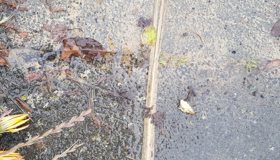 The photograph attached to this water leak report