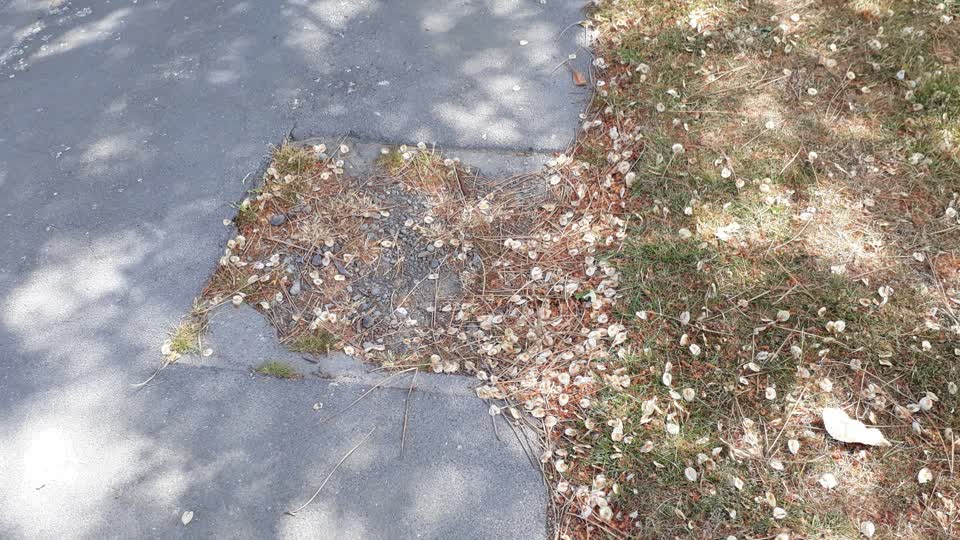 The photograph attached to this roading/streets report