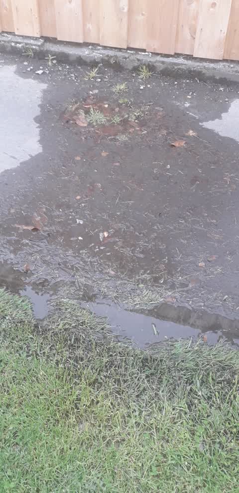 Water Leak, a report photo