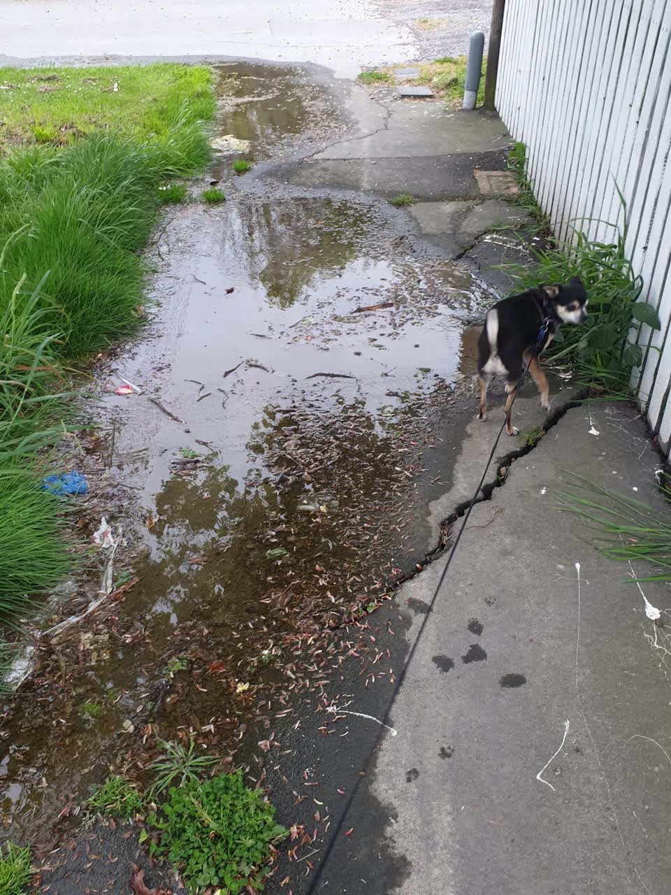 The photograph attached to this water leak report