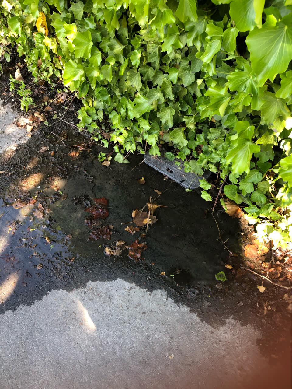 The photograph attached to this water leak report